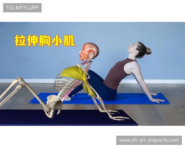 女生利用健身器材锻炼胸肌的有效方法与安全指南 女生利用健身器材锻炼胸肌的有效方法与安全指南